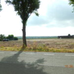 DSCN9182-1
